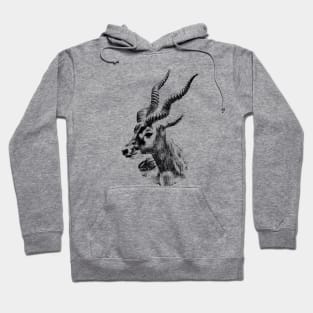 Blackbuck Hoodie